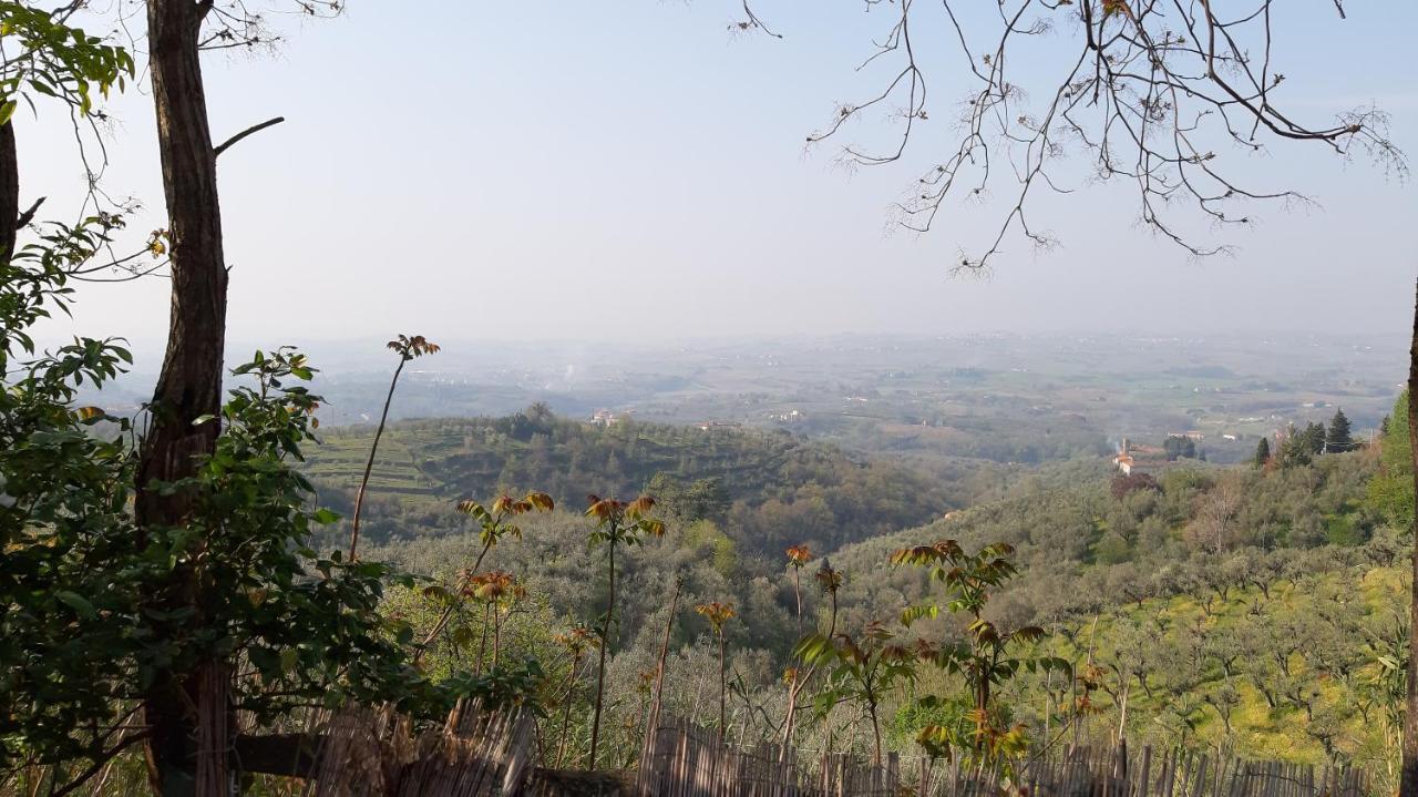Il Fienile Di Tigliano Βίλα Βίντσι Εξωτερικό φωτογραφία